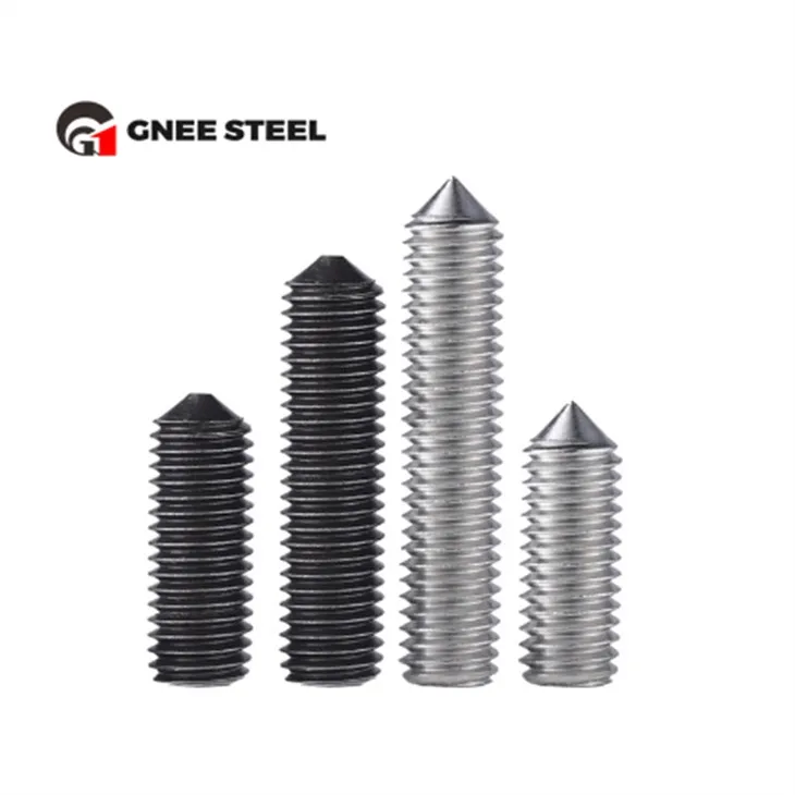 Viti di fissaggio in acciaio inossidabile DIN915 DIN916